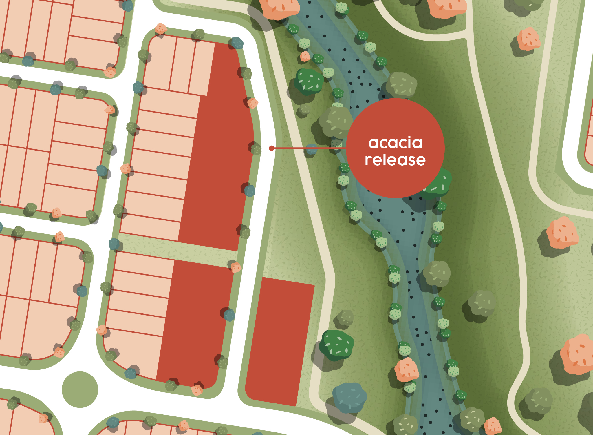 Acacia Release
